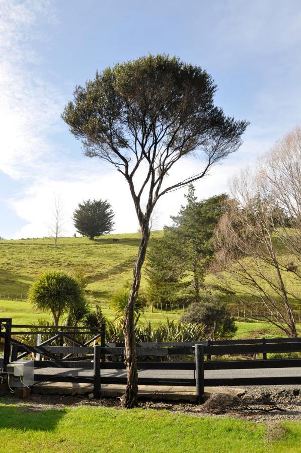 Matapouri & Tutukaka Spectacular Coastal Views- Aroha Luxury Guest Suite Eksteriør bilde