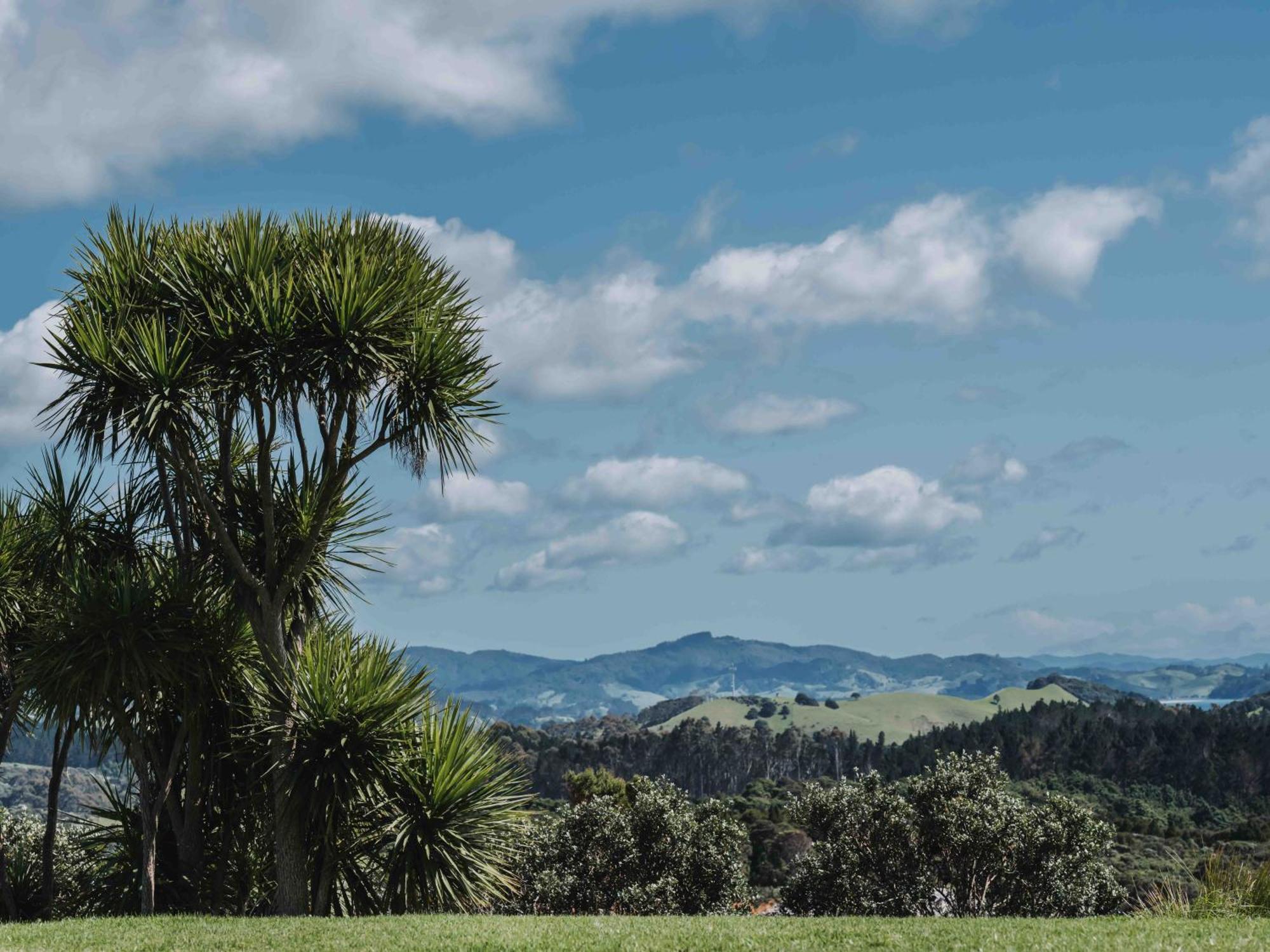 Matapouri & Tutukaka Spectacular Coastal Views- Aroha Luxury Guest Suite Eksteriør bilde