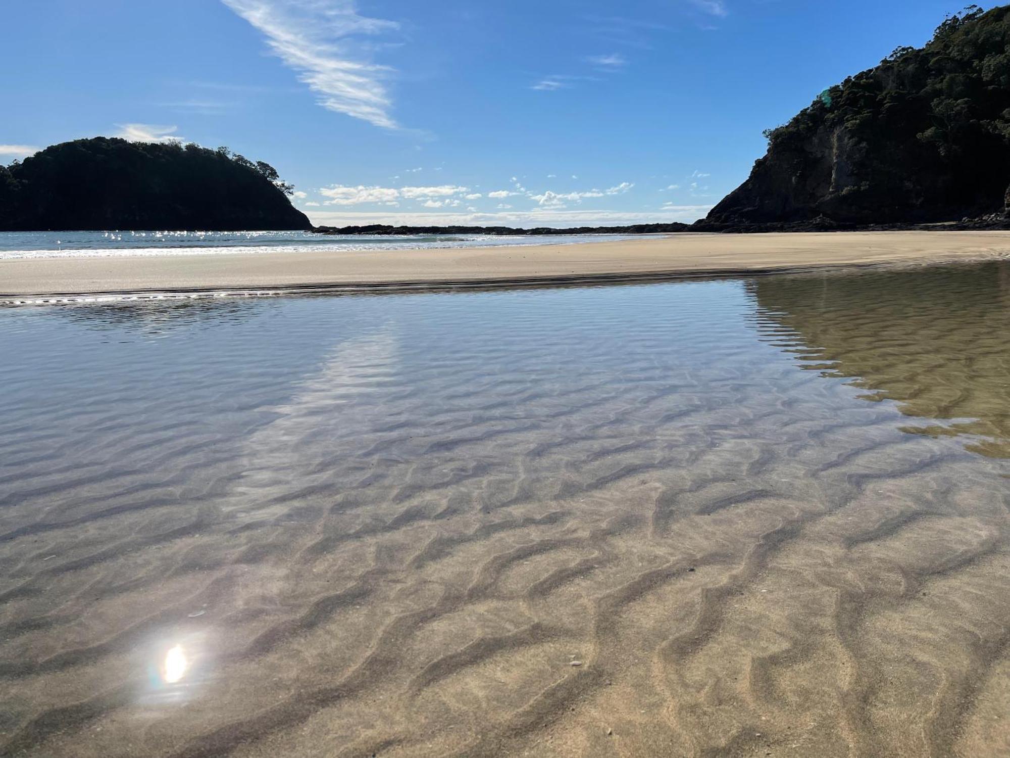 Matapouri & Tutukaka Spectacular Coastal Views- Aroha Luxury Guest Suite Eksteriør bilde